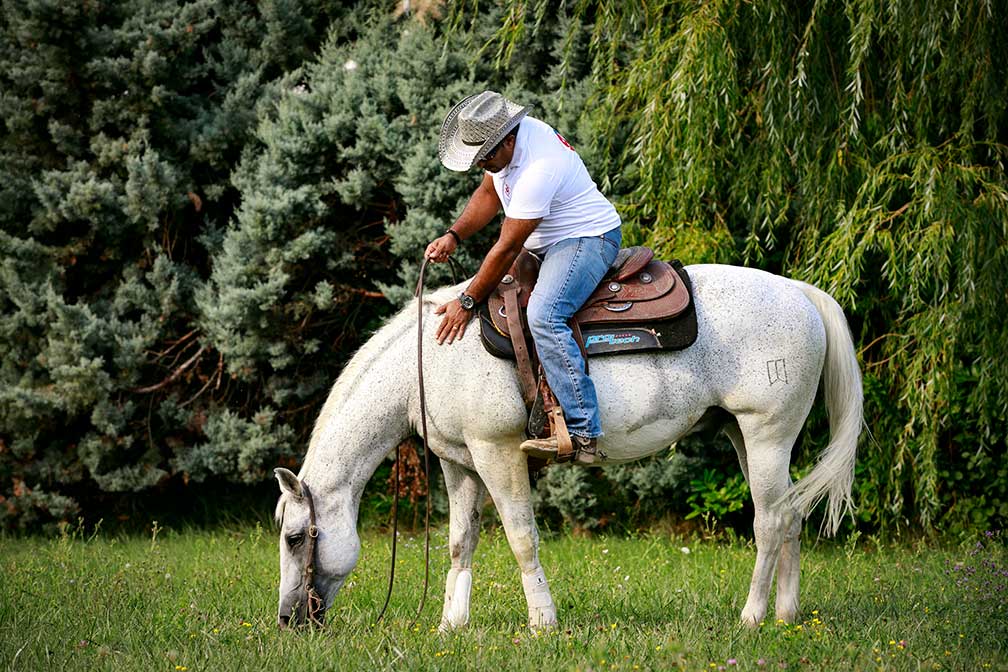 Titre de la séance individuelle