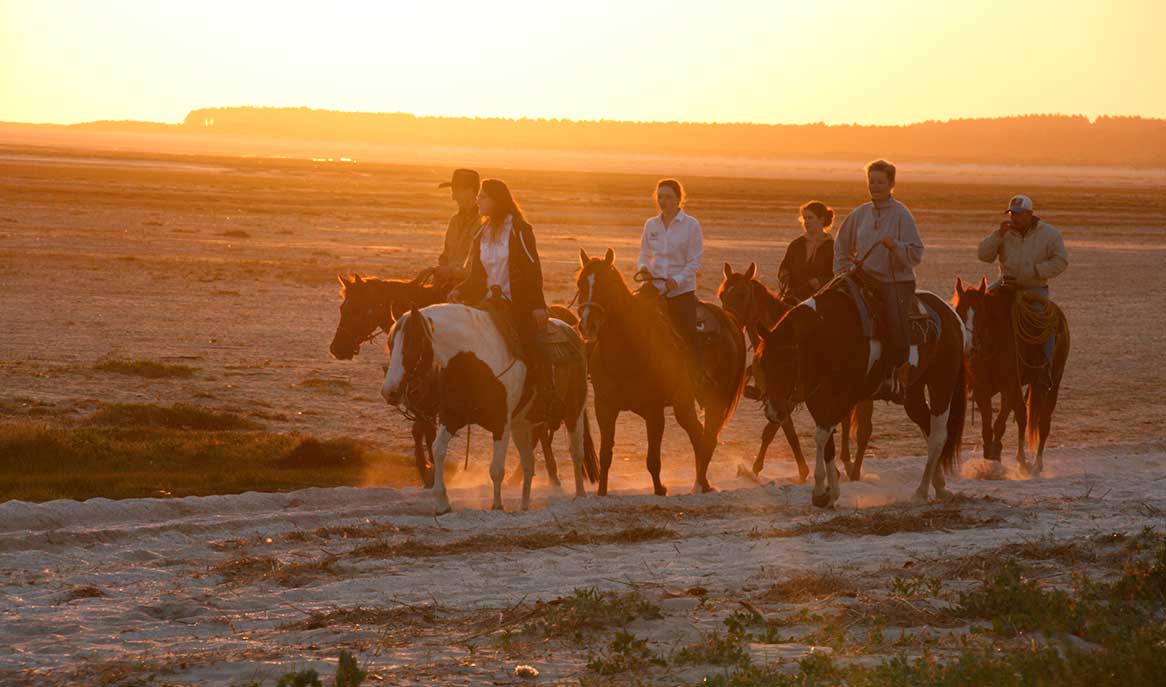 Sortie en Baie de Somme pour un séjour à thème d'Équitation Western Val-d'Oise