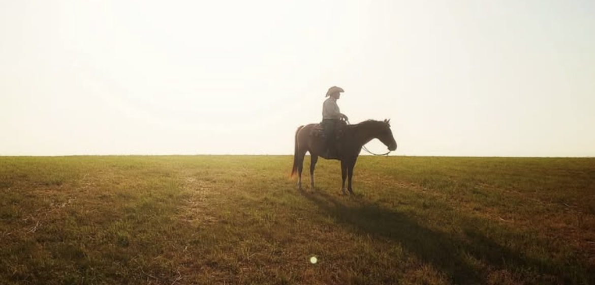 Photo d'un cavalier sur son cheval en monte western dans une prairie